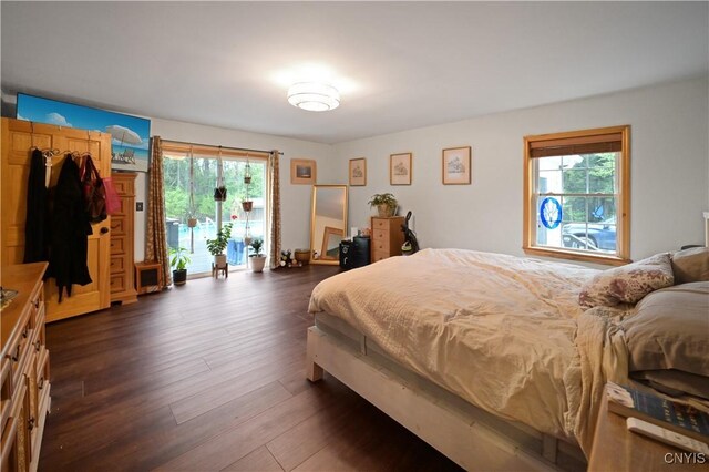 161 Mcclure Rd, Salisbury, NY 13470 - bedroom with multiple windows, dark wood finished floors, and access to exterior