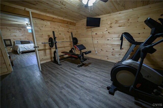 161 Mcclure Rd, Salisbury, NY 13470 - exercise room featuring ceiling fan, dark wood-style floors, wood walls, and wood ceiling