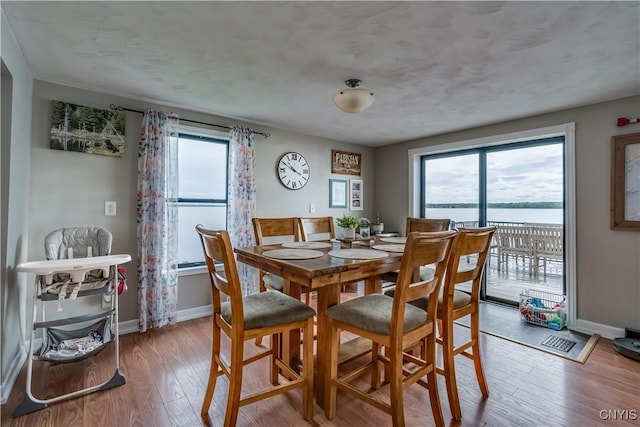 17695 County Route 59, Brownville, NY 13634 - dining room featuring wood finished floors and baseboards