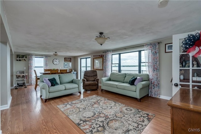17695 County Route 59, Brownville, NY 13634 - living room featuring wood finished floors and baseboards