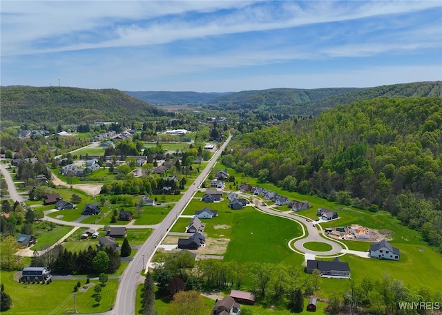 11 Elk Creek Dr, Ellicottville, NY 14731 - photo 2