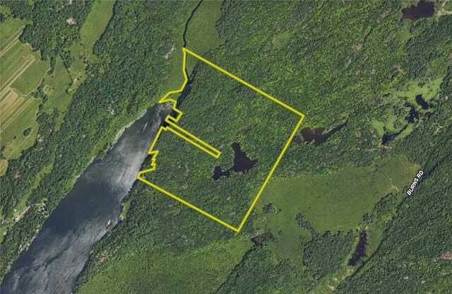46446 Butterfield Camp Rd, Theresa, NY 13679 - photo 44