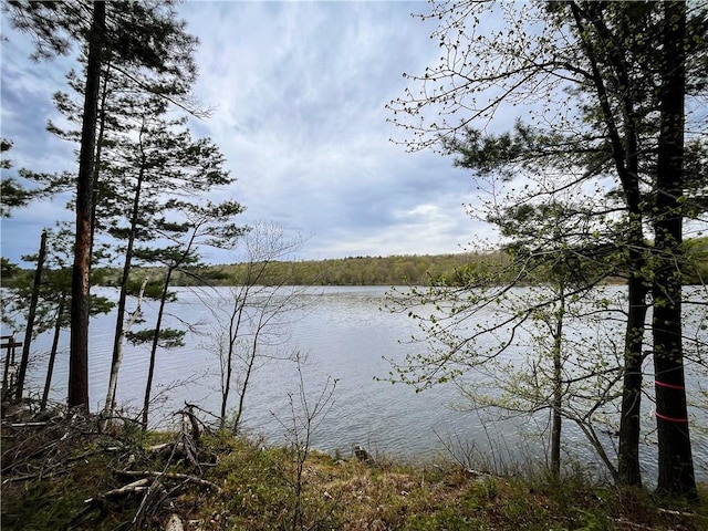 46446 Butterfield Camp Rd, Theresa, NY 13679 - photo 11