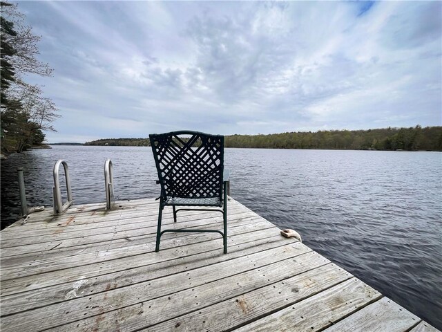 46446 Butterfield Camp Rd, Theresa, NY 13679 - photo 13