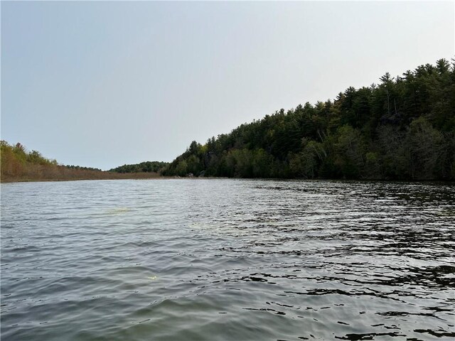 46446 Butterfield Camp Rd, Theresa, NY 13679 - photo 16
