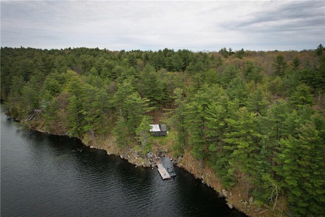 46446 Butterfield Camp Rd, Theresa, NY 13679 - photo 17