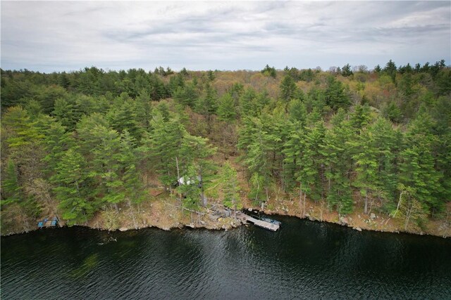 46446 Butterfield Camp Rd, Theresa, NY 13679 - photo 18