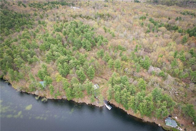 46446 Butterfield Camp Rd, Theresa, NY 13679 - photo 19
