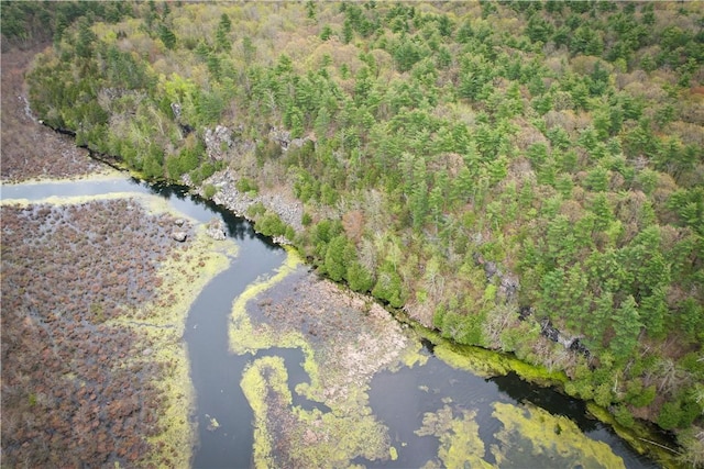 46446 Butterfield Camp Rd, Theresa, NY 13679 - photo 21