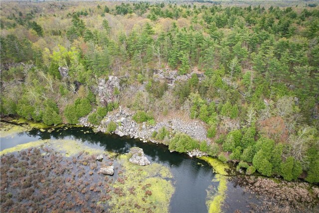 46446 Butterfield Camp Rd, Theresa, NY 13679 - photo 23
