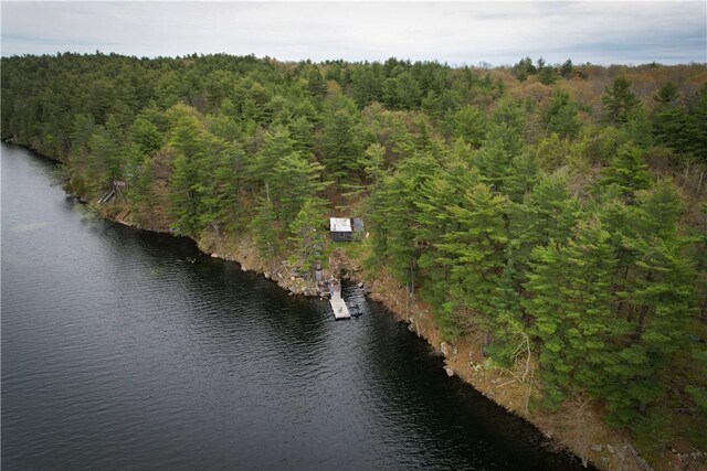 46446 Butterfield Camp Rd, Theresa, NY 13679 - photo 28