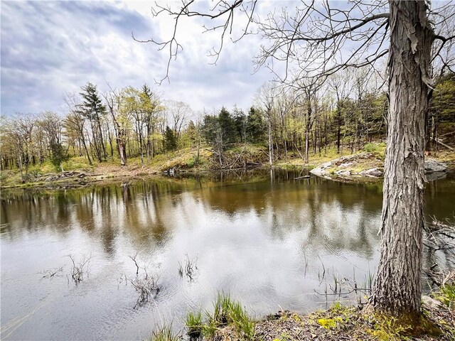 46446 Butterfield Camp Rd, Theresa, NY 13679 - photo 32