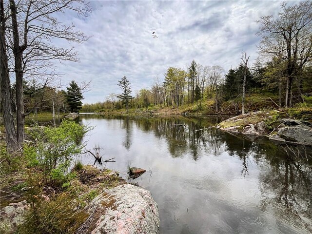 46446 Butterfield Camp Rd, Theresa, NY 13679 - photo 33