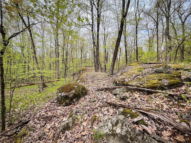 46446 Butterfield Camp Rd, Theresa, NY 13679 - photo 34