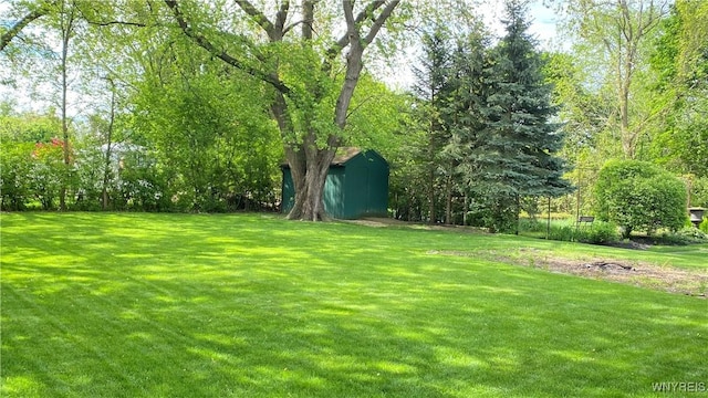 view of grassy yard with a shed and an outdoor structure