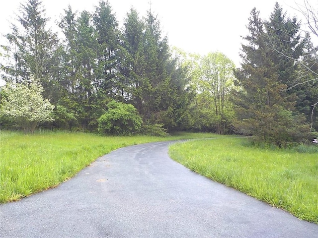 6900 White Rd, Conesus, NY 14435 - view of road featuring a view of trees