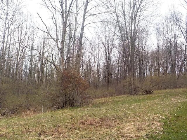 6900 White Rd, Conesus, NY 14435 - view of tree filled area