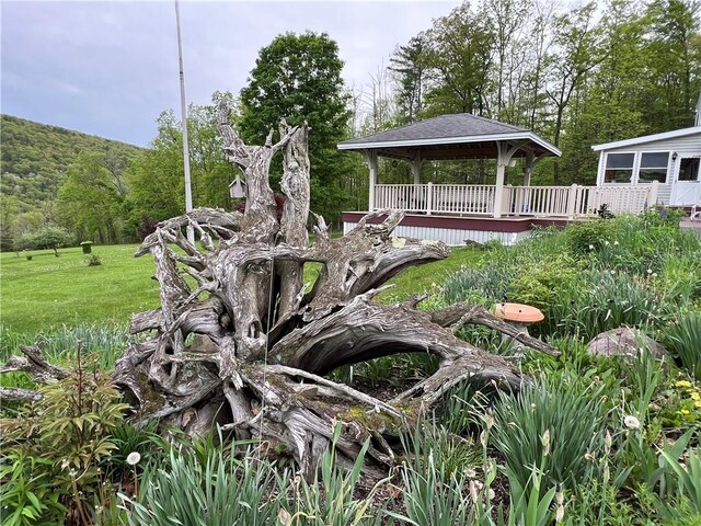 8584 Vieley Rd, Campbell, NY 14821 - view of green lawn featuring a gazebo and a wooded view