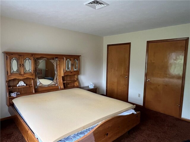 8584 Vieley Rd, Campbell, NY 14821 - bedroom with dark colored carpet and multiple closets