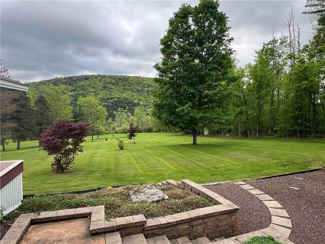 8584 Vieley Rd, Campbell, NY 14821 - view of green lawn featuring a view of trees