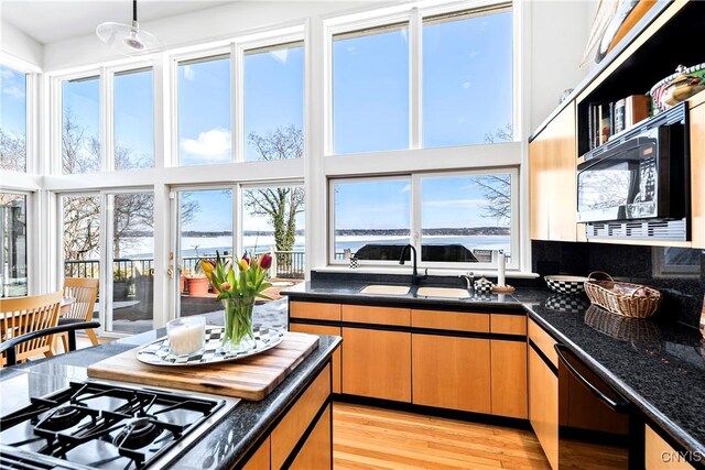 5598 Buck Point Rd, Fleming, NY 13021 - kitchen with black appliances, a sink, light wood-type flooring, a water view, and a towering ceiling