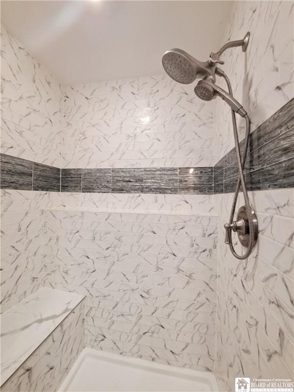 55 Washington Ave, Pomfret, NY 14063 - bathroom with a tile shower