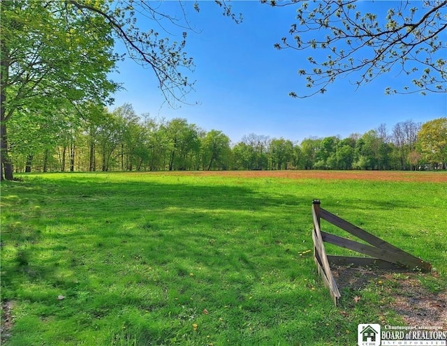 55 Washington Ave, Pomfret, NY 14063 - view of grassy yard with a view of countryside and a view of trees