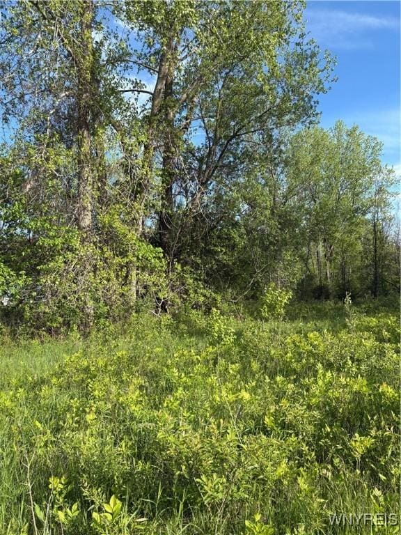 Genesee St, Alden, NY 14004