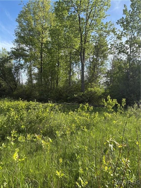 Genesee St, Alden, NY 14004