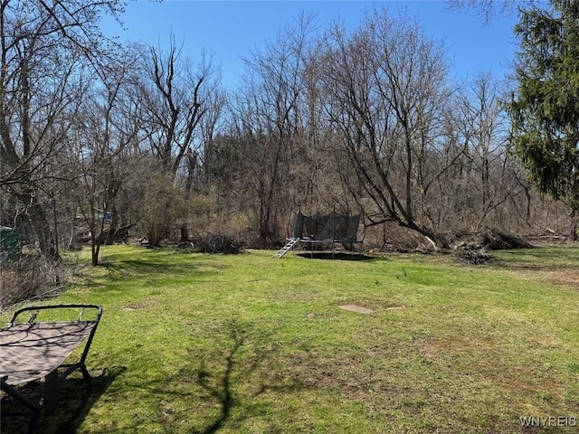 9 N Hartland St, Royalton, NY 14105 - view of grassy yard with a trampoline
