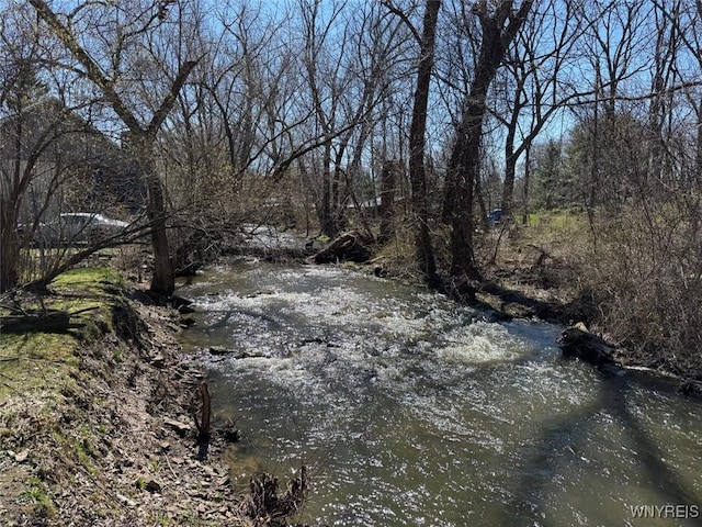 9 N Hartland St, Royalton, NY 14105 - view of local wilderness