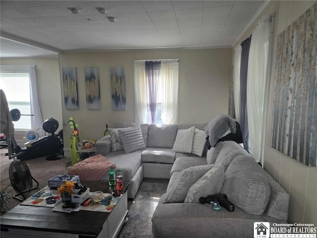 69 Royal Ave, Jamestown, NY 14701 - carpeted living room featuring crown molding