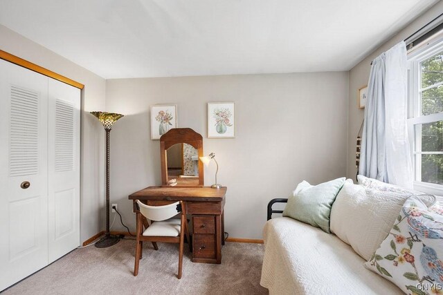 424 S Terry Rd, Geddes, NY 13219 - photo 25