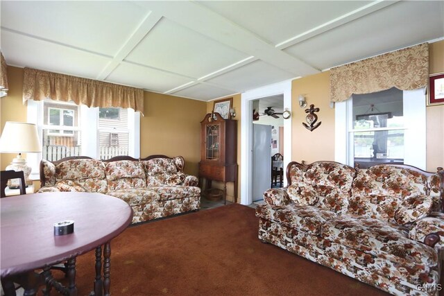 12647 Reed Rd W, Henderson, NY 13651 - photo 16