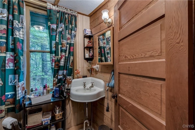 bathroom featuring wooden walls and a sink