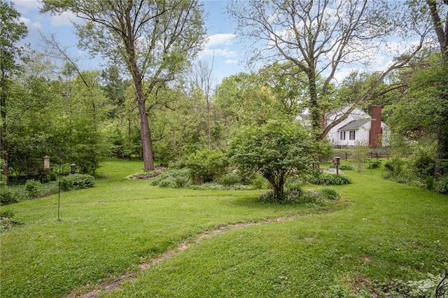 view of grassy yard