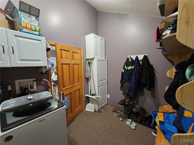 437 Nye Rd, Virgil, NY 13045 - washroom featuring washer / clothes dryer, cabinet space, carpet, and a textured ceiling