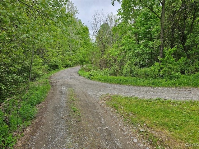 437 Nye Rd, Virgil, NY 13045 - view of dirt / gravel road with a wooded view