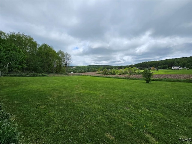 437 Nye Rd, Virgil, NY 13045 - view of grassy yard featuring a view of rural / pastoral area