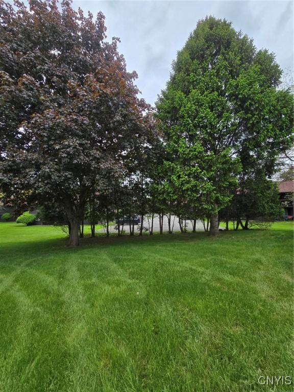 332 Cameco Cir, Salina, NY 13090 - view of grassy yard