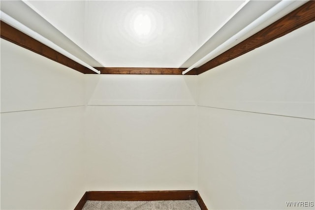 249 E St, Buffalo, NY 14207 - spacious closet featuring carpet flooring