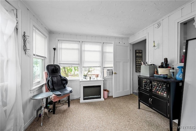 living area featuring light colored carpet and a textured ceiling