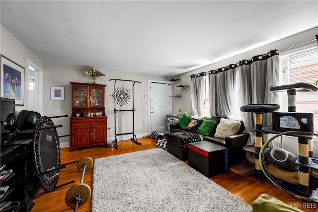 living room with wood finished floors and baseboards