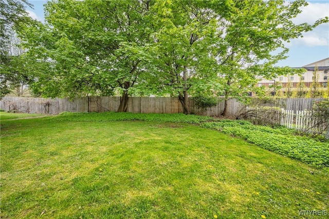 view of yard