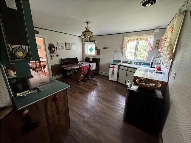 3645 County Highway 12, Kortright, NY 13739 - kitchen with dark wood finished floors, a sink, and a baseboard heating unit