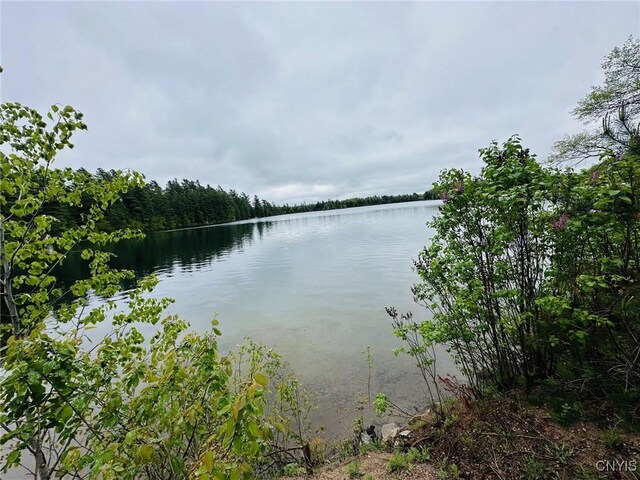 1101 Oswegatchie Trail Rd, Fine, NY 13690 - photo 8