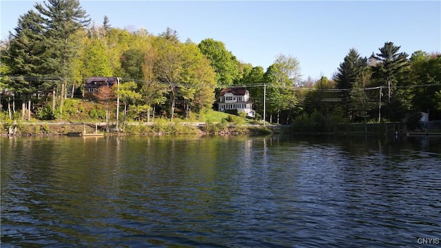 1101 Oswegatchie Trail Rd, Fine, NY 13690 - photo 2