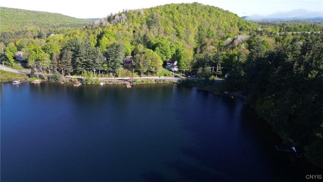 1101 Oswegatchie Trail Rd, Fine, NY 13690 - photo 7
