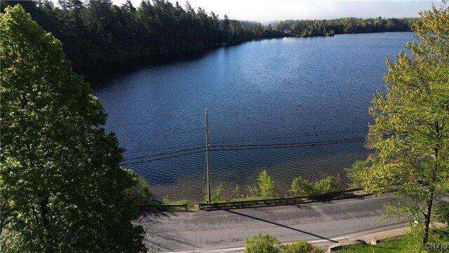 1101 Oswegatchie Trail Rd, Fine, NY 13690 - photo 13