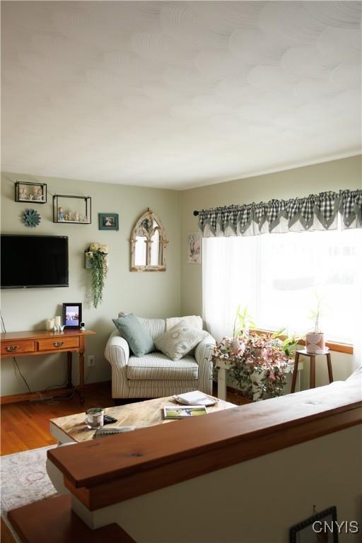 95 Briarcliff Dr, Veteran, NY 14845 - living area with wood finished floors